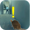 Rat Simulator  Rat无法安装怎么办