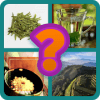 4 pics 1 word 3 letters下载地址