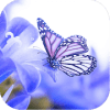 Butterfly Jigsaw Puzzle World免费下载