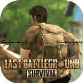 游戏下载LastBattleGroundSurviva