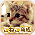 3D猫咪养成iphone版下载