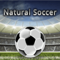 游戏下载自然足球Natural Soccer