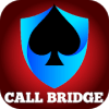 Call Bridge Card Game Offline