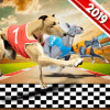 Dog Crazy Race Simulator 2019怎么下载到电脑