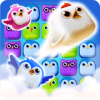 Bird Block Blast费流量吗