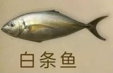 《明日之后》白條魚獲取攻略