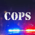 Cops On Patrol版本更新