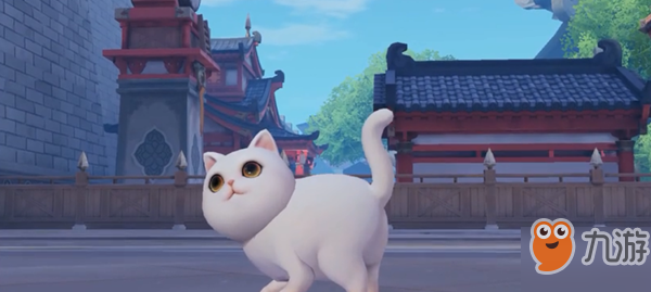 梦幻西游三维版追猫主线怎么做？追上白猫任务攻略