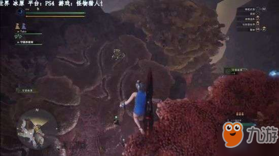 《怪物猎人世界》冰原DLC陆珊瑚台地宝藏位置