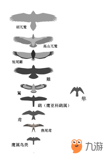 银灰原型图片