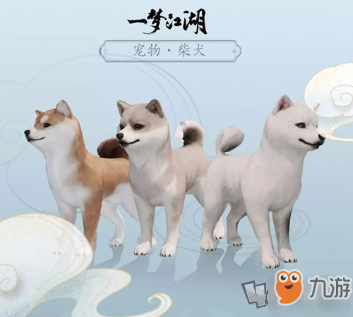 一梦江湖新宠物柴犬图文展示