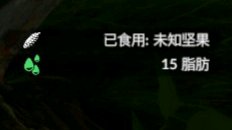 《绿色地狱》坚果食用效果一览