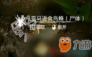 《綠色地獄》亞馬遜食鳥蛛食用效果一覽