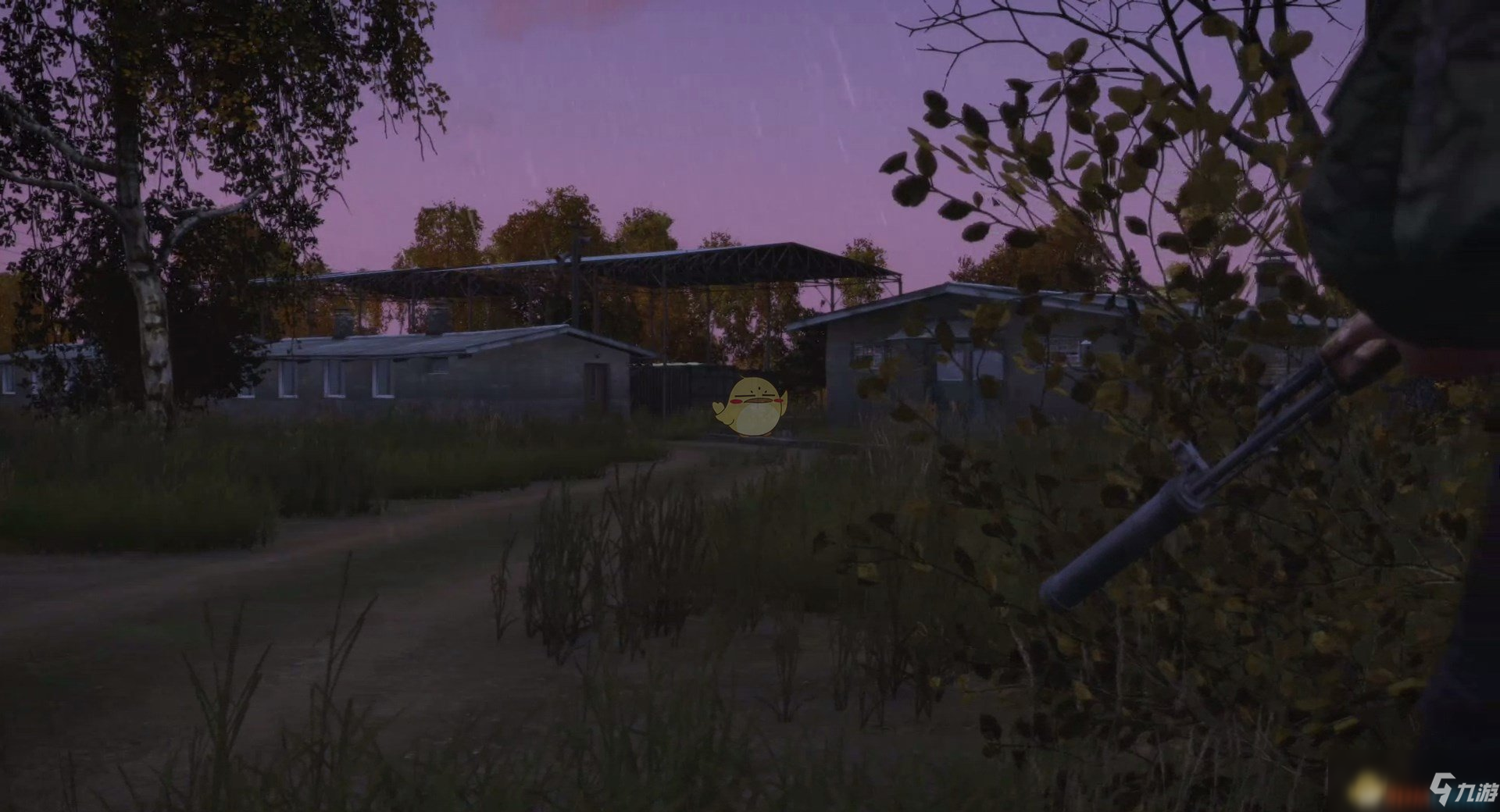 《DayZ》种植农作物方法分享