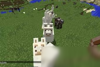 我的世界羊驼怎么繁殖