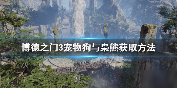 博德之门3宠物狗与枭熊获取方法相关介绍 宠物狗与枭熊怎么得