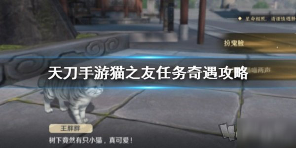 天涯明月刀手游猫之友在哪 猫之友任务奇遇触发位置