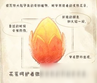 原神烈焰花怎么采集