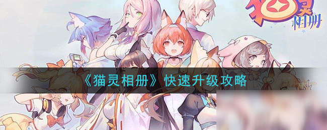 《猫灵相册》快速升级攻略