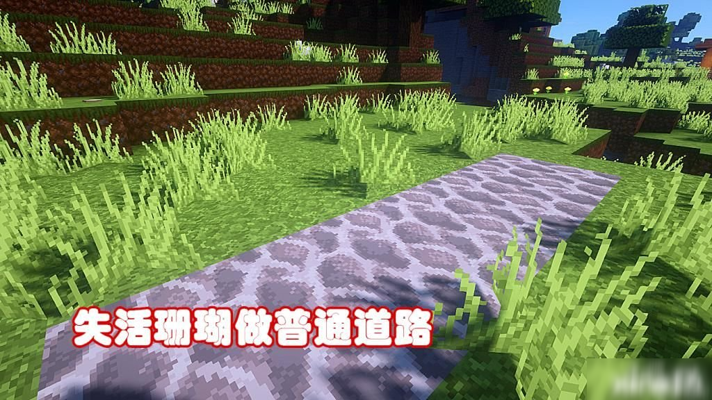 我的世界：五个小技巧，若可吃透“它们”，菜鸟逆袭成大神！