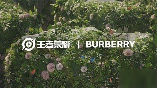 王者荣耀Burberry联名皮肤什么时候出？貂蝉巴宝莉联名皮肤曝光