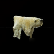 刺客信条英灵殿北极熊皮速刷地点推荐 北极熊皮获取位置