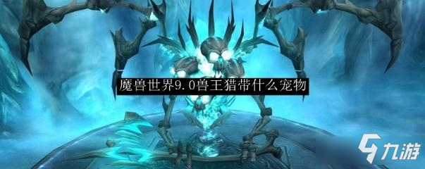 《魔獸世界》9.0獸王獵寵物推薦