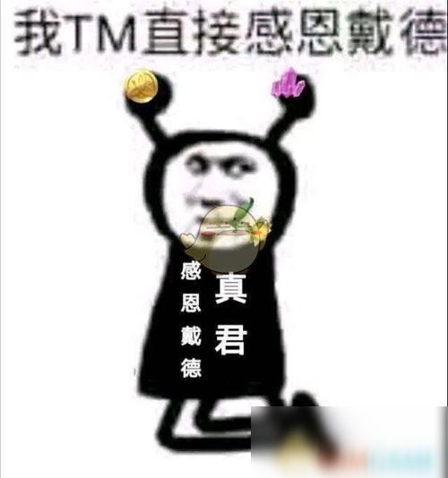 我tm直接感恩戴德图片图片