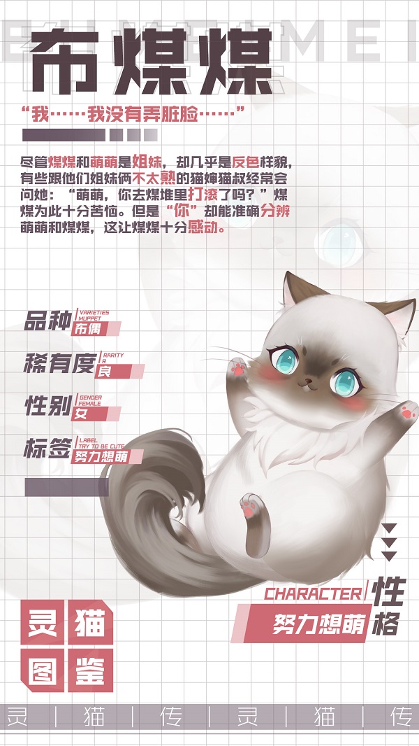 《灵猫传》灵猫图鉴-（良）双生子“小黑”—布煤煤