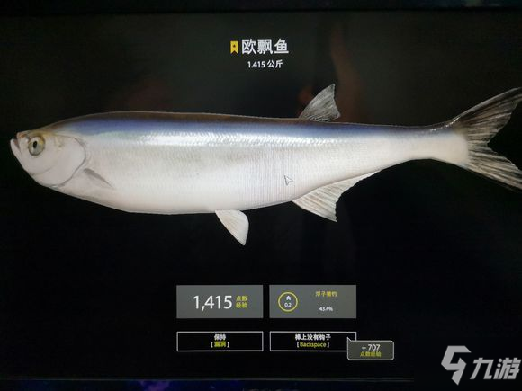 俄羅斯釣魚4釣點大全