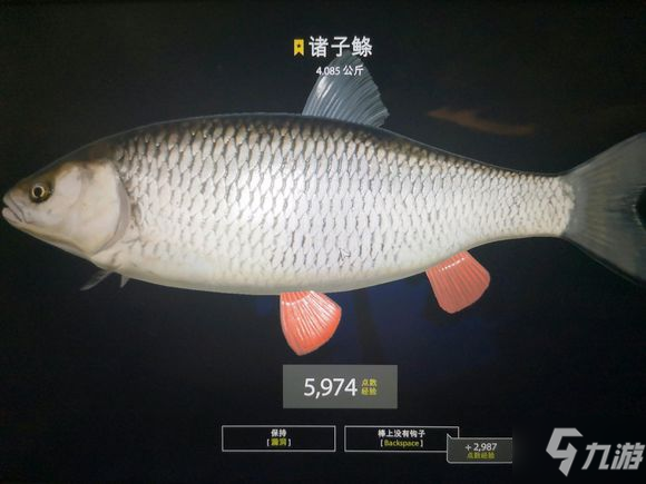 俄羅斯釣魚4釣點大全