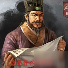 《三國志戰(zhàn)略版》表情包之紫卡大神二