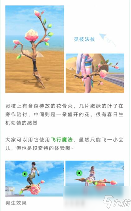 《创造与魔法》贝雅迎春季活动玩法介绍