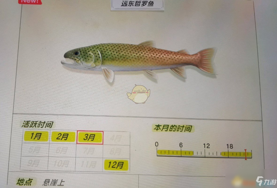 《動物森友會》懸崖魚類遠東哲羅魚圖鑒