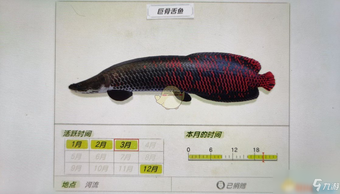 《动物森友会》河流鱼类巨骨舌鱼图鉴
