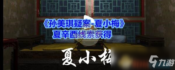 《孙美琪疑案-夏小梅》夏辛酉线索获得