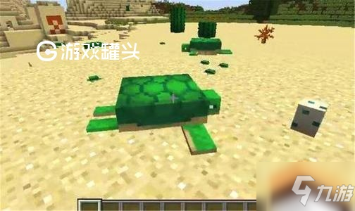 我的世界海龟怎么获取海龟获取方法