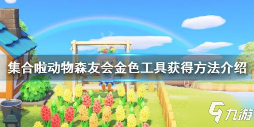 动物森友会金色工具获取方法 动物森友会金色工具怎么获得