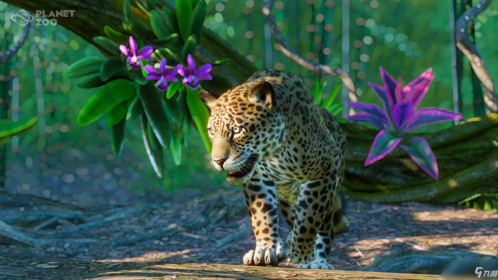 《動物園之星》全新DLC發(fā)售 入駐美洲豹等五種南美動物