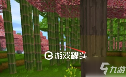 迷你世界竹子怎么种 迷你世界竹子种植方法介绍