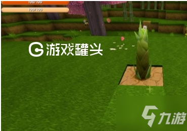 迷你世界竹子怎么种 迷你世界竹子种植方法介绍
