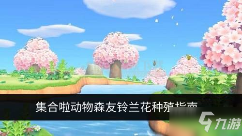 集合啦動物森友會鈴蘭花怎么種 鈴蘭花種殖指南