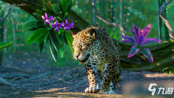 《动物园之星》新DLC“南美组合”上线 追加5种动物