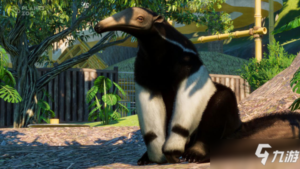 《动物园之星》新DLC“南美组合”上线 追加5种动物