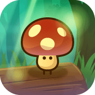 这蘑菇