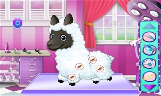 羊驼宠物护理好玩吗 羊驼宠物护理玩法简介