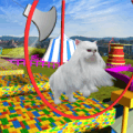 可爱的小猫3d版本更新