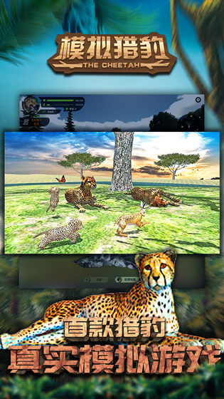 模拟猎豹好玩吗 模拟猎豹玩法简介