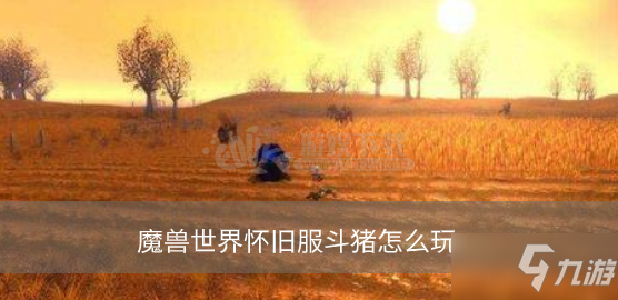 魔兽世界怀旧服斗猪怎么玩 斗猪头和斗猪排怎么获取