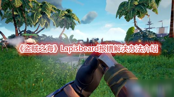 《盜賊之?！稬apisbeard報錯解決辦法介紹